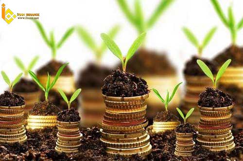 کسب دانش در مورد ارزهای دیجیتال