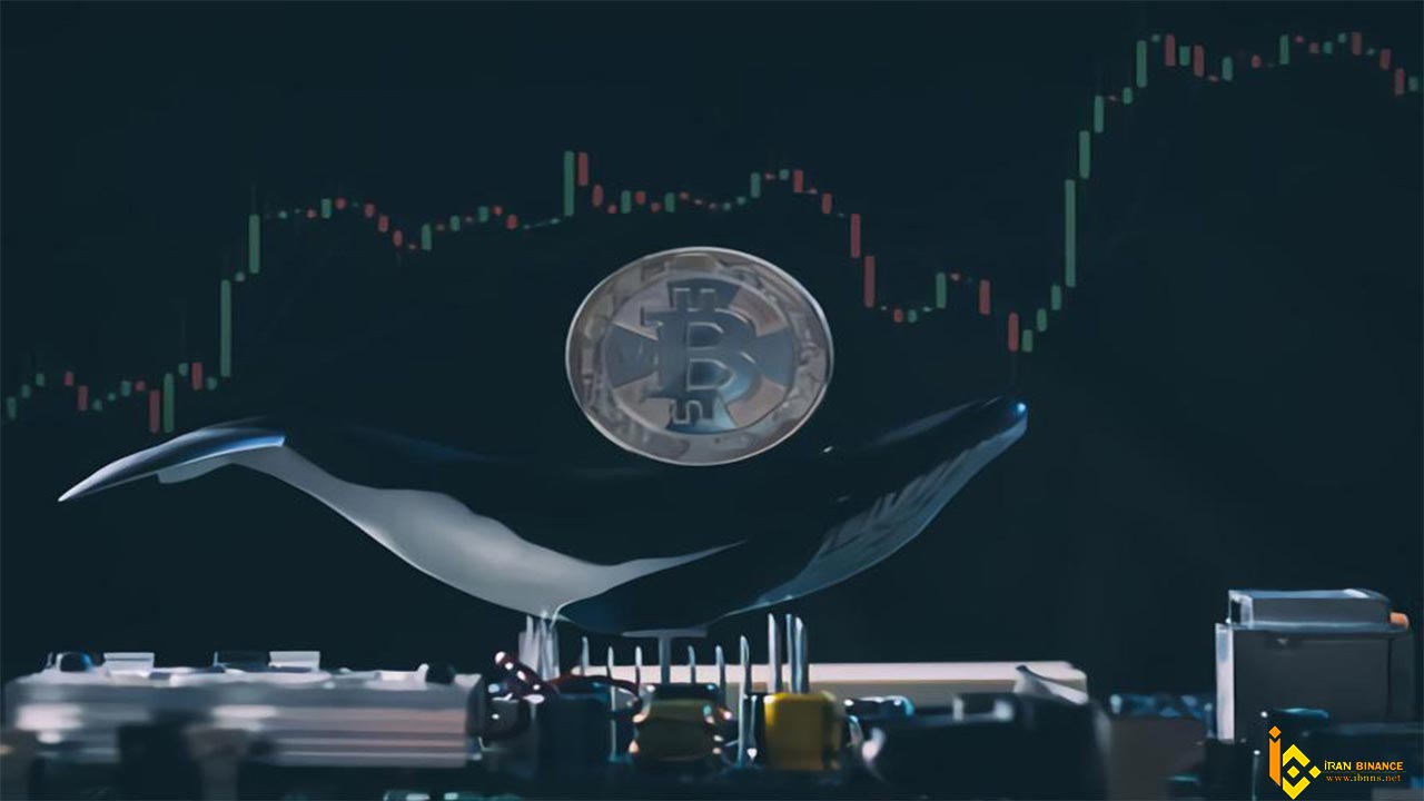 عوامل تاثیرگذار بر قیمت بیت کوین