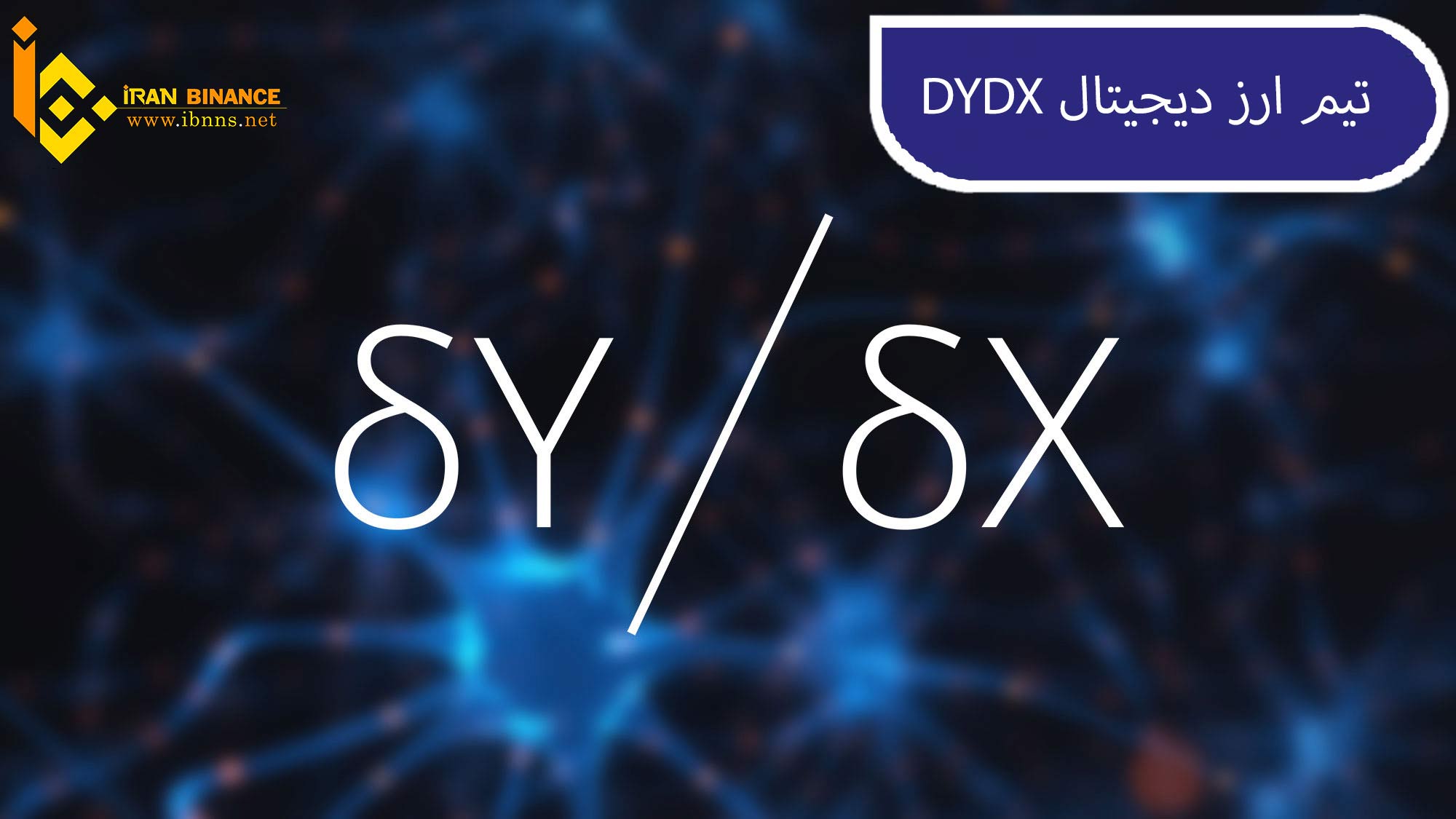 تیم ارز دیجیتال دی وای دی ایکس: