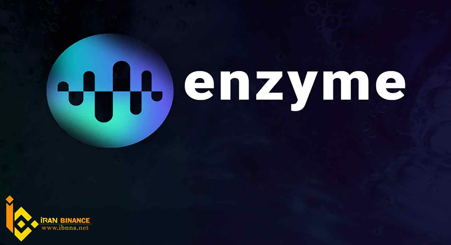پروتکل Enzyme