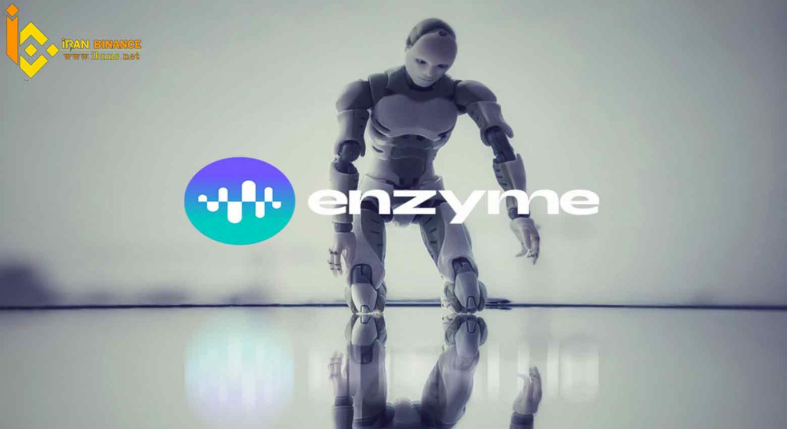 کیف پول ارز دیجیتال MLN