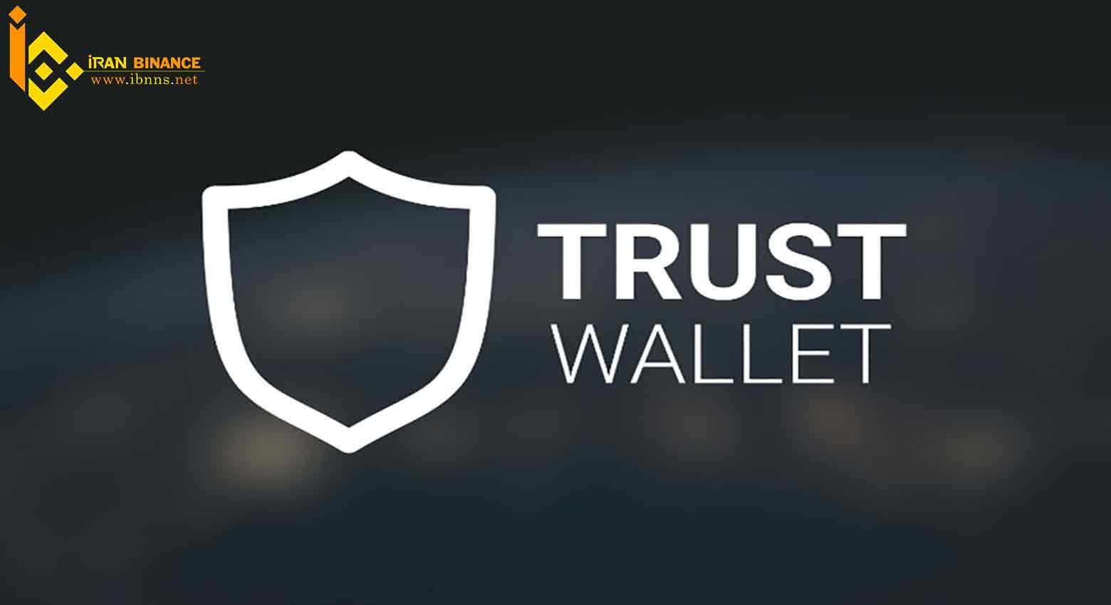 کیف پول ارز دیجیتال انزایم