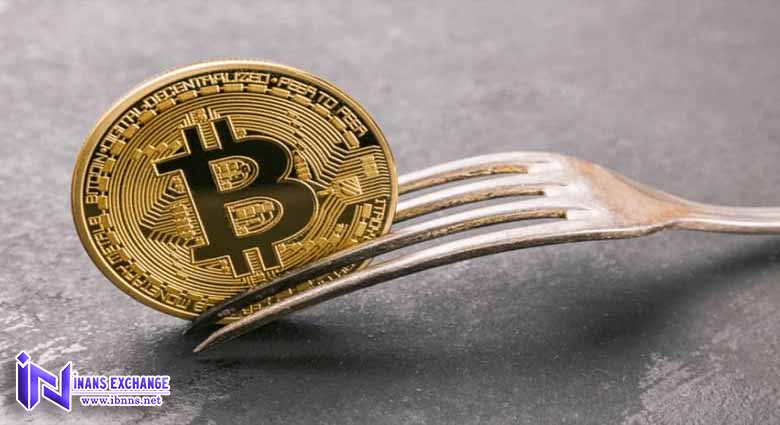 فورک Fork چیست؟