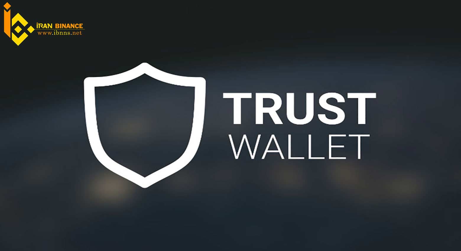 کیف پول ارز دیجیتال گنوسیس