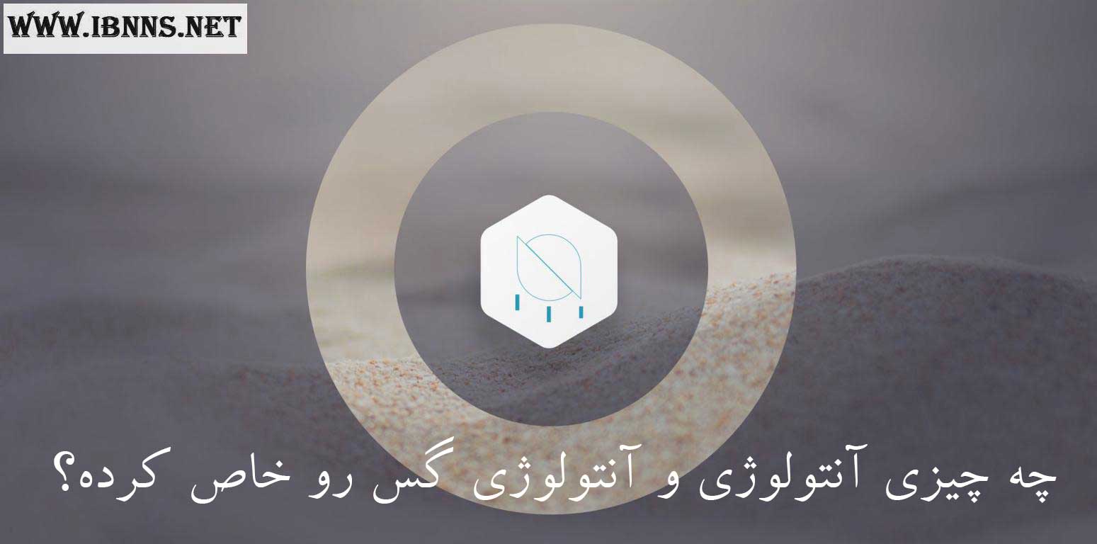 ویژگی های متمایز شبکه آنتولوژی و ارز آنتولوژی گس چیست؟