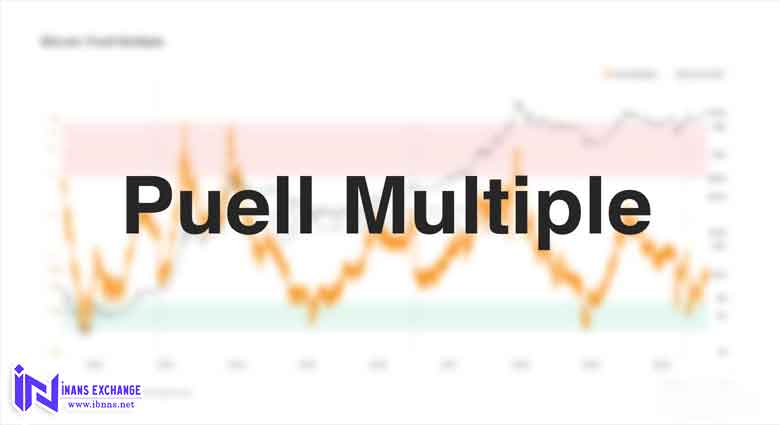 مزایا و معایب شاخص Puell چیست؟