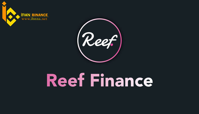 امنیت شبکه Reef چگونه است