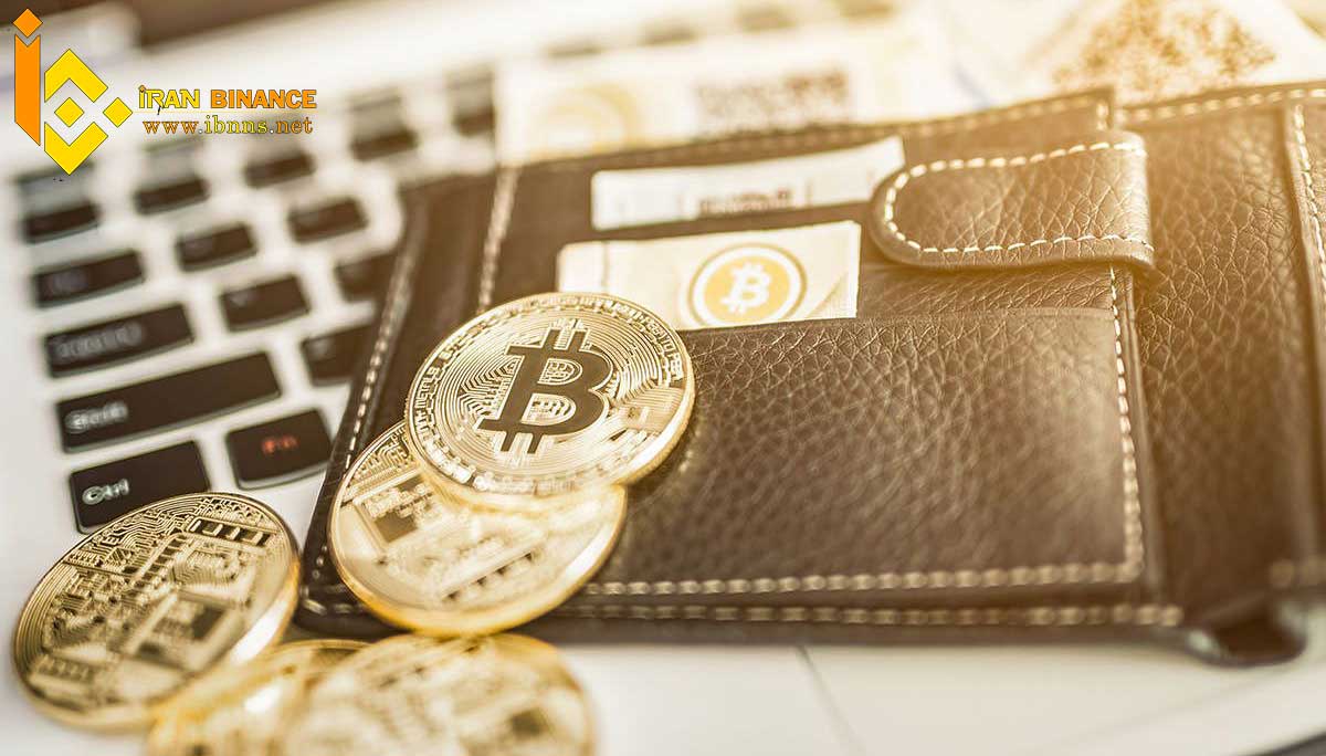 انواع کیف پول ارز دیجیتال استورج