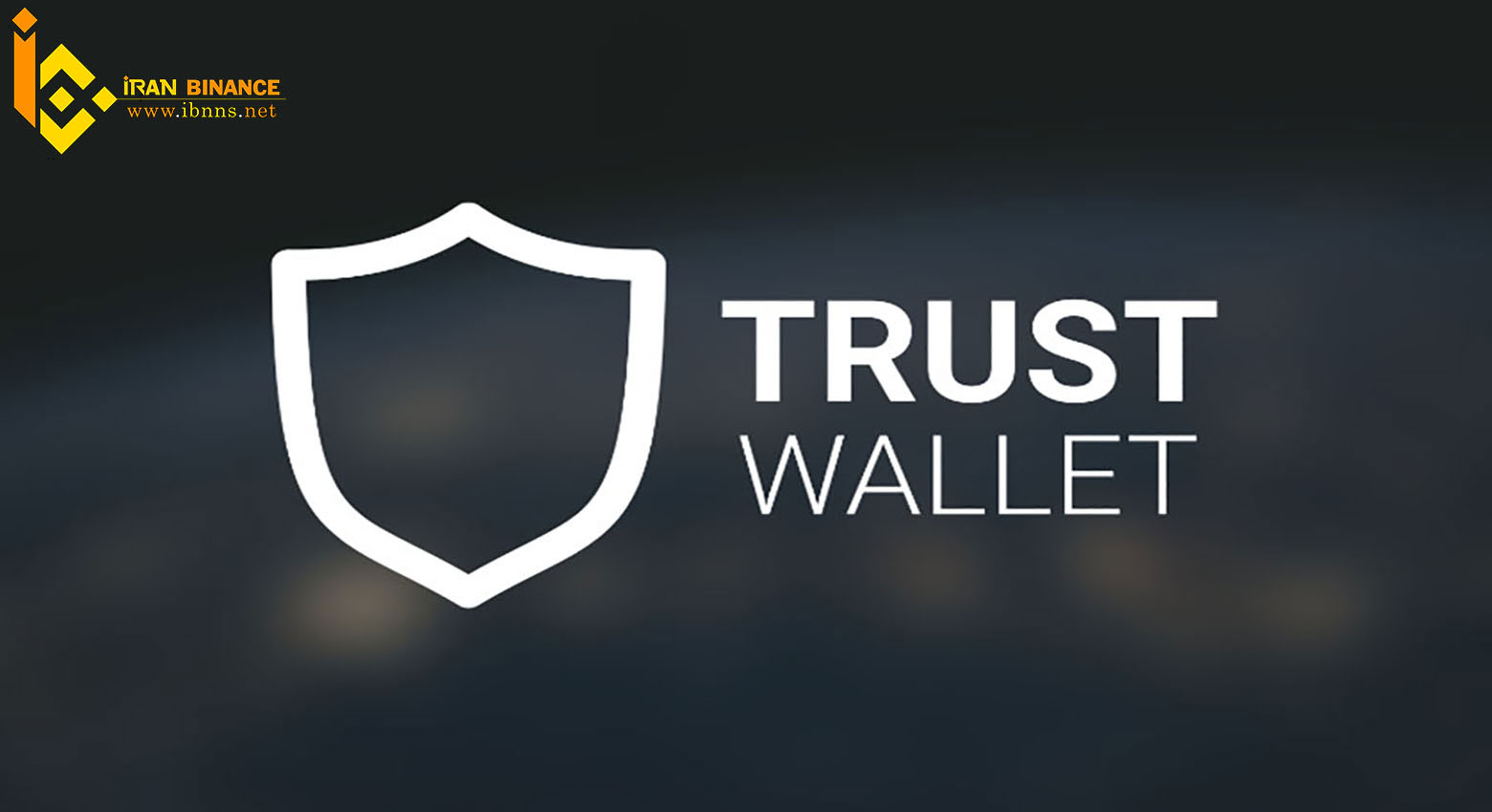 کیف پول ارز دیجیتال تورچین