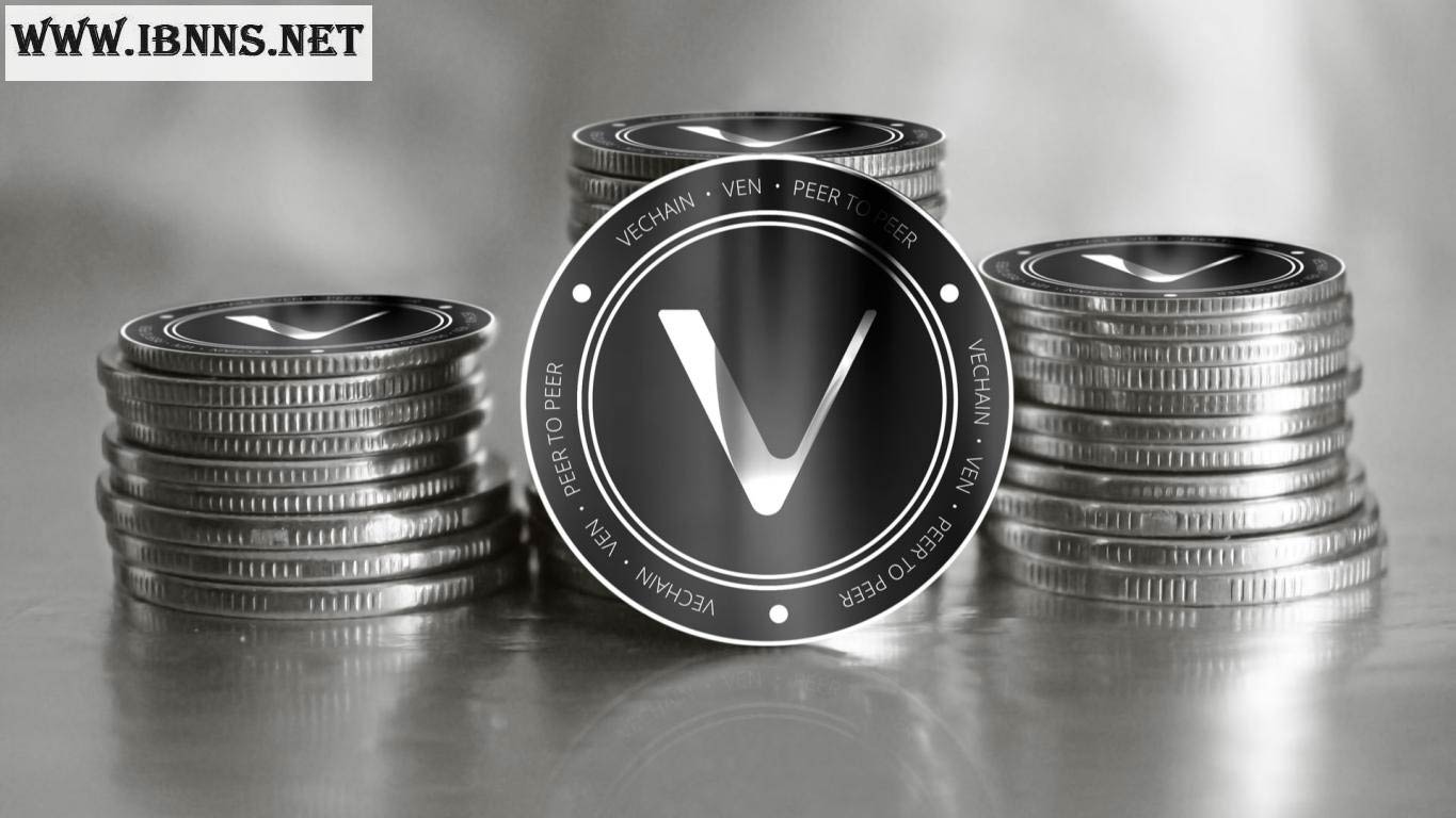 ارز دیجیتال وی چین چیست؟ | کاربرد های vet
