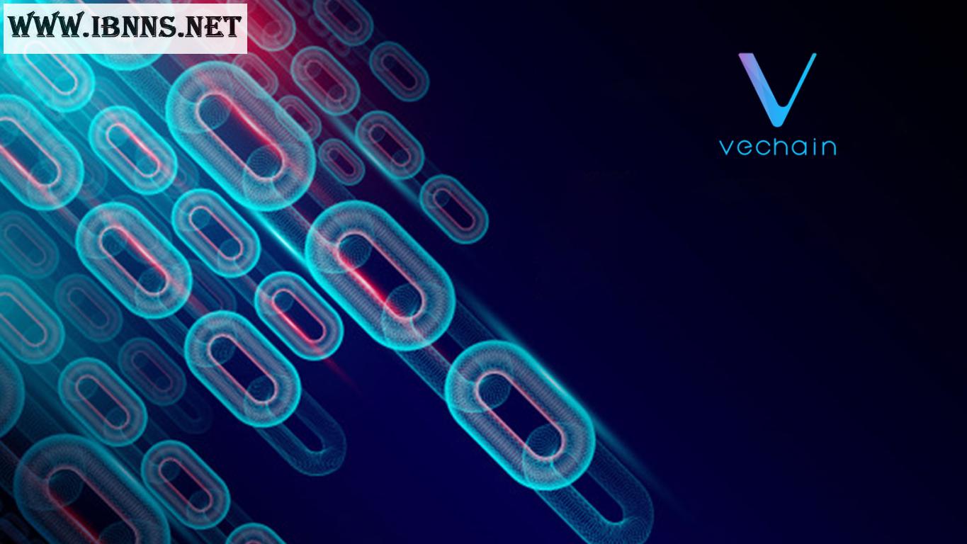 وظیفه بنیاد ارز دیجیتال VET چیست؟