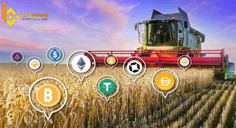 ییلد فارمینگ چیست؟