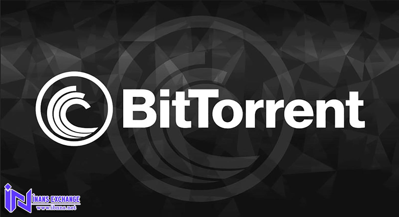 ارز دیجیتال بیت تورنت