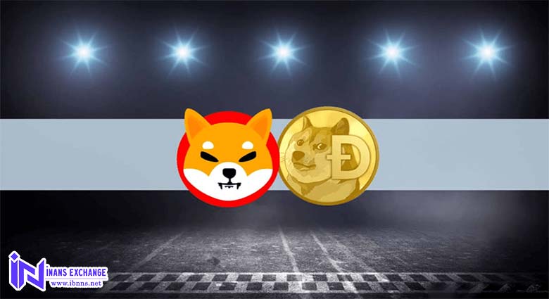 دوج کوین بهتر است یا شیبا