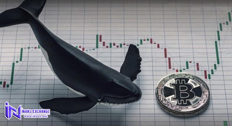 نقل و انتقالات کریپتویی نهنگ ارز دیجیتال