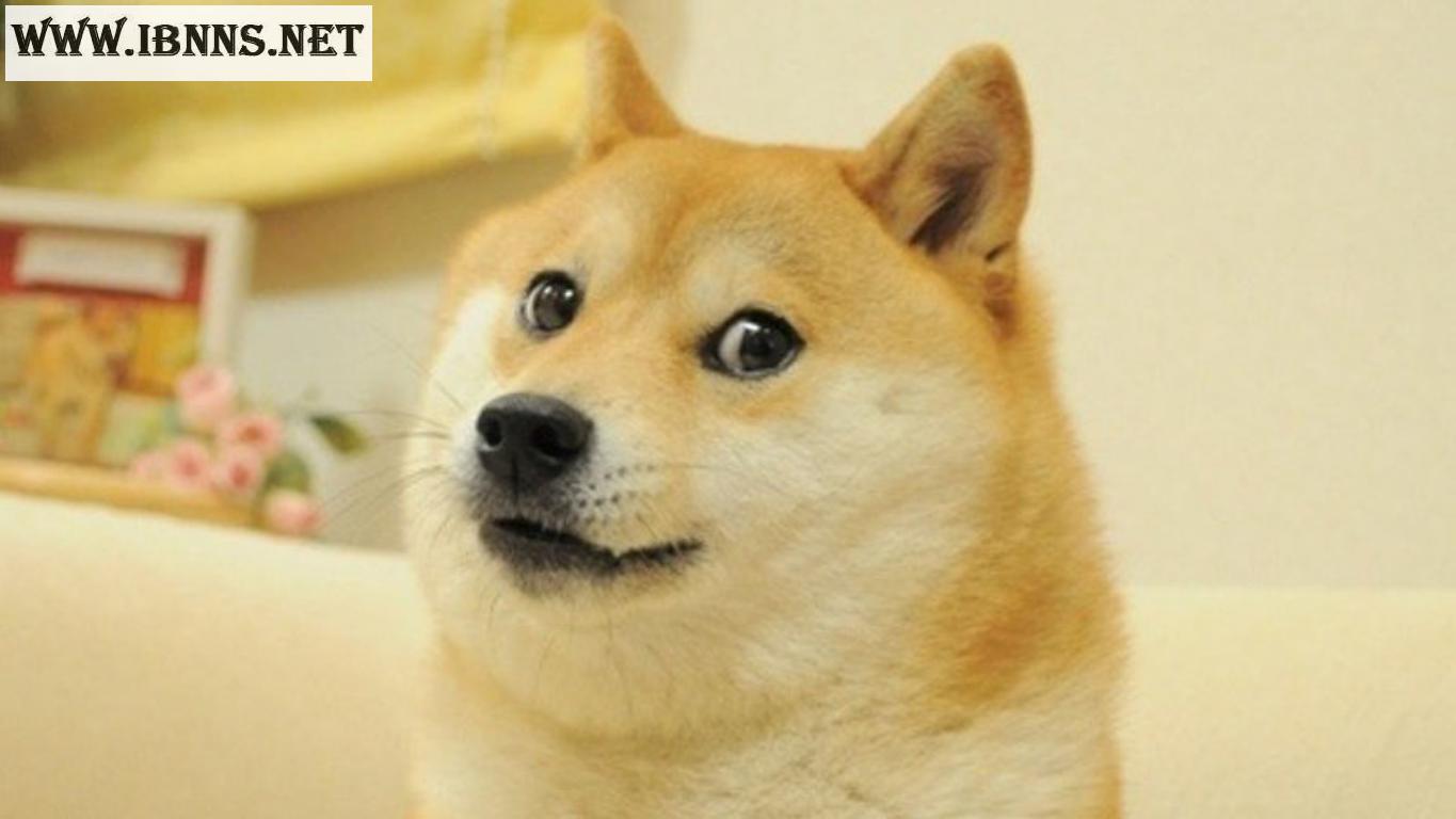 ارز دیجیتال Doge Coin چیست؟ | نماد دوج کوین چیست؟