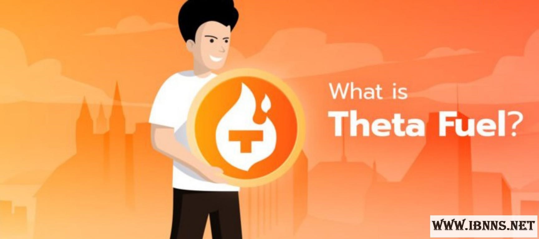 تتا فیول چیست