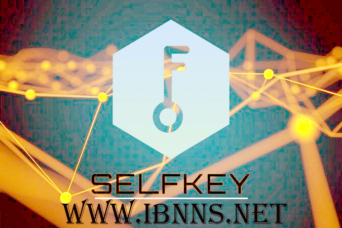 خرید سلف کی | فروش سلف کی | قیمت KEY