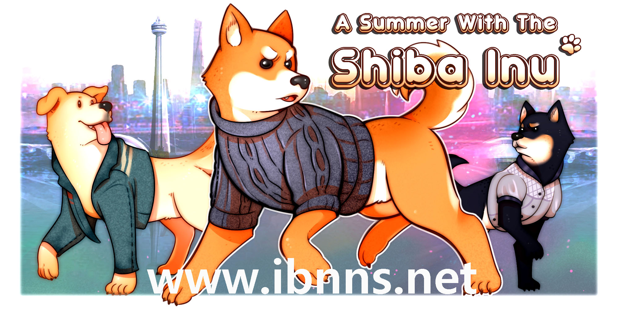 خرید شیبا - فروش شیبا- قیمت shib shiba inu