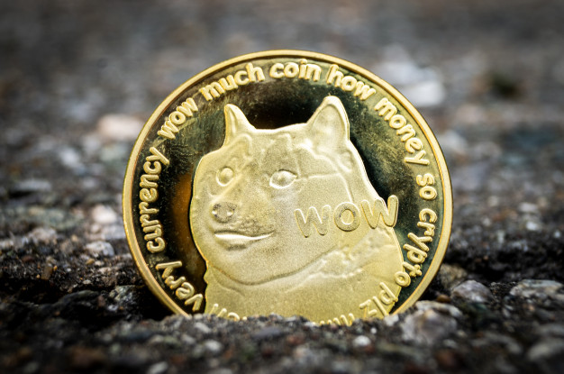 خرید دوج کوین | فروش doge| قیمت دوج کوین