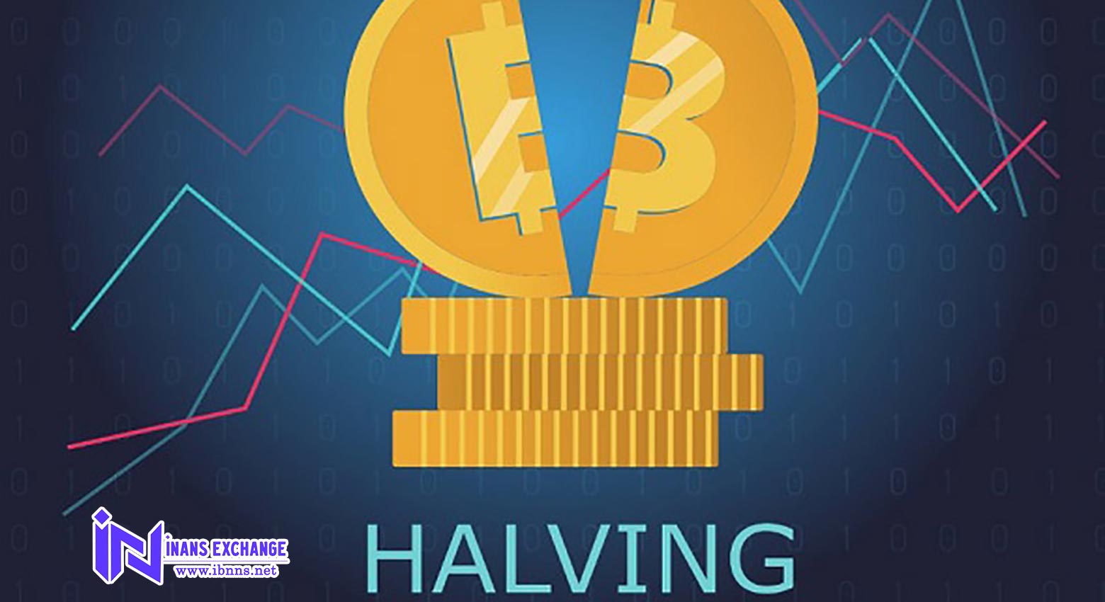 هاوینگ بیت کوین چیست و چه تاثیری روی قیمت دارد؟