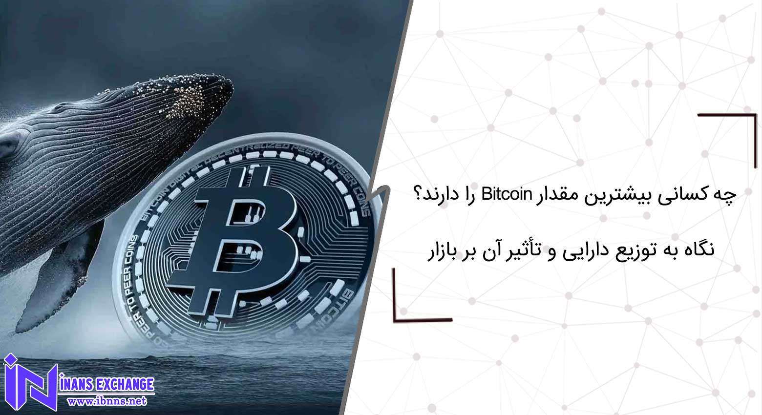 چه کسانی بیشترین مقدار Bitcoin را دارند؟ نگاه به توزیع دارایی و تأثیر آن بر بازار چه کسانی بیشترین مقدار Bitcoin را دارند؟ نگاه به توزیع دارایی و تأثیر آن بر بازار