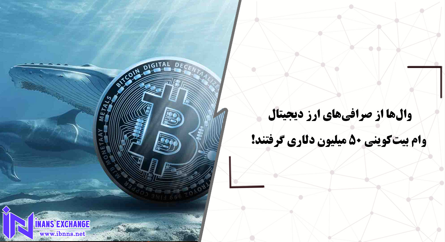 چرا و چگونه وال‌ها از صرافی‌های ارز دیجیتال برای وام بیت‌کوینی ۵۰ میلیون دلاری استفاده کردند؟