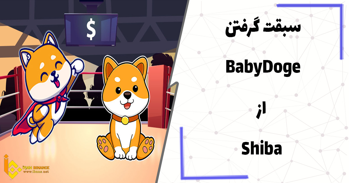 سبقت بیبی دوج از شیبا (BabyDoge اکنون در اختیار 1.226 میلیون کاربر)