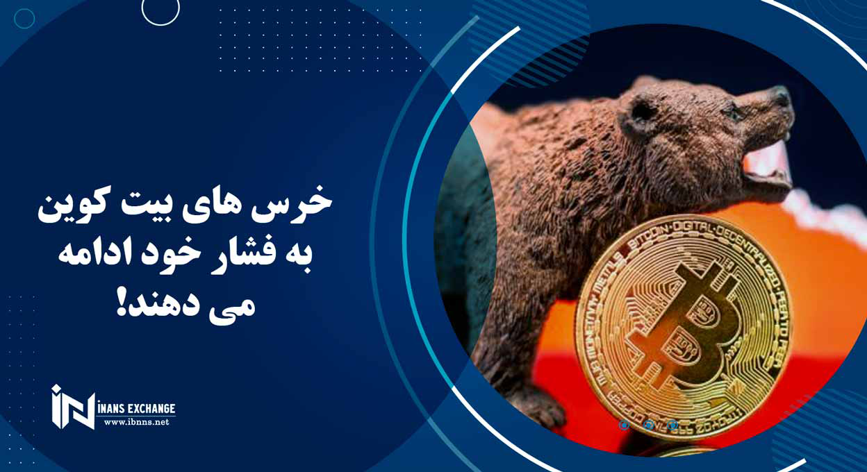  خرس های بیت کوین به فشار خود ادامه می دهند