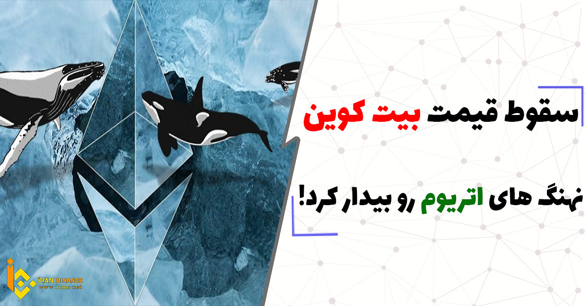 سقوط بیت کوین نهنگ های اتریوم را بیدار کرده است.