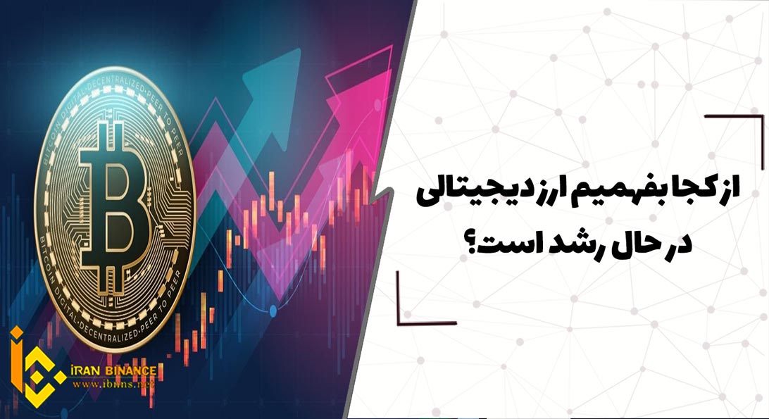 از کجا بفهمیم یک ارز در حال رشد است؟