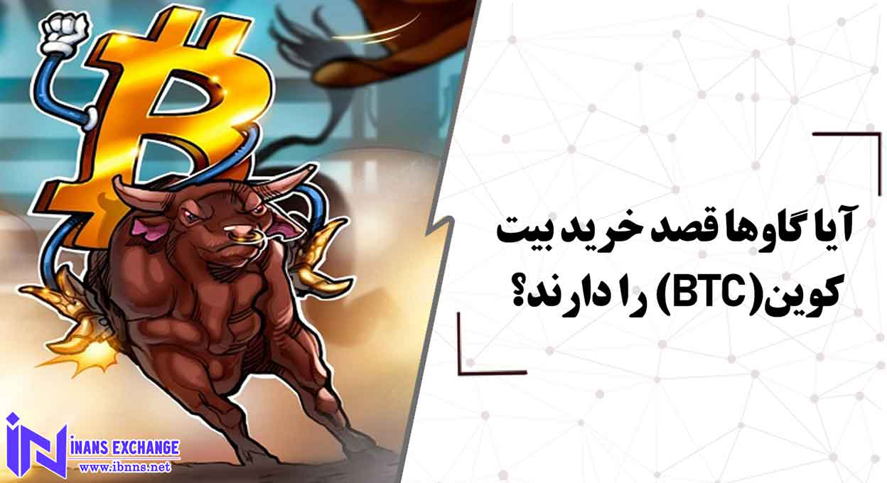  آیا گاوها قصد خرید بیت کوین(BTC) را دارند؟