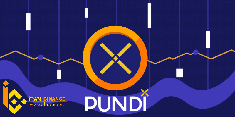  ارز دیجیتال پاندی ایکس چیست؟| قیمت NPXS | آینده Pundi X| کیف پول پاندی ایکس