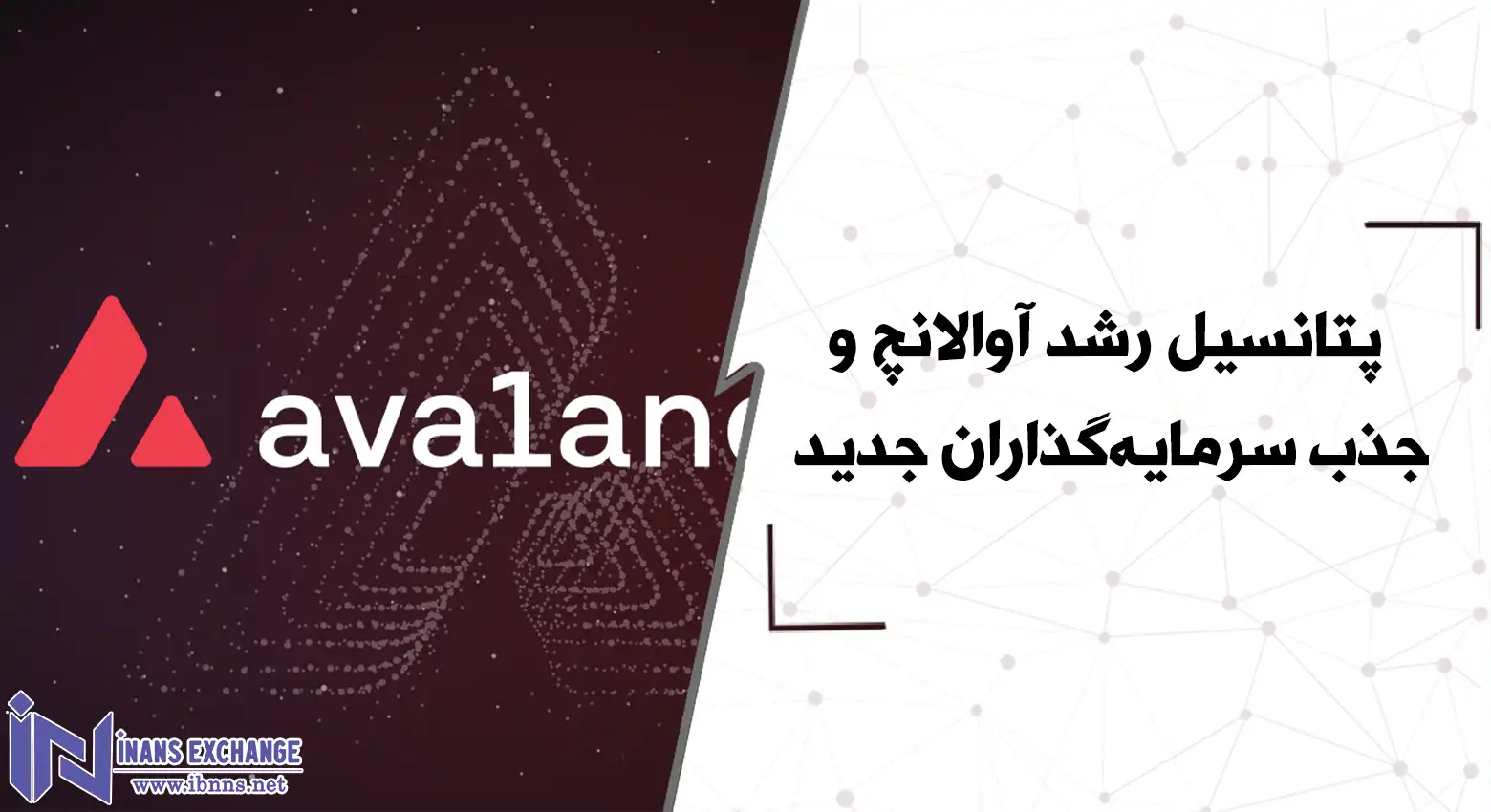 پتانسیل رشد آوالانچ و جذب سرمایه‌گذاران جدید