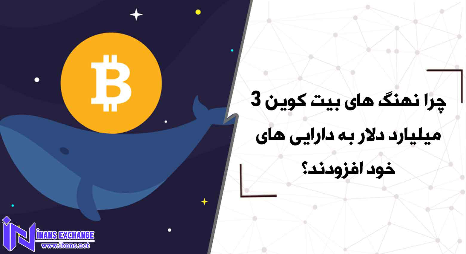  چرا نهنگ های بیت کوین 3 میلیارد دلار به دارایی های خود افزودند؟