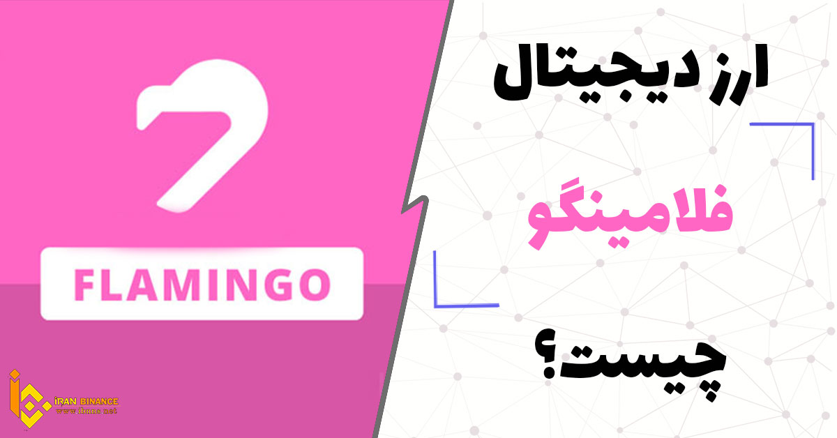  ارز دیجیتال فلامینگو Flamingo چیست؟ (معرفی برترین کیف پول ارز فلامینگو)