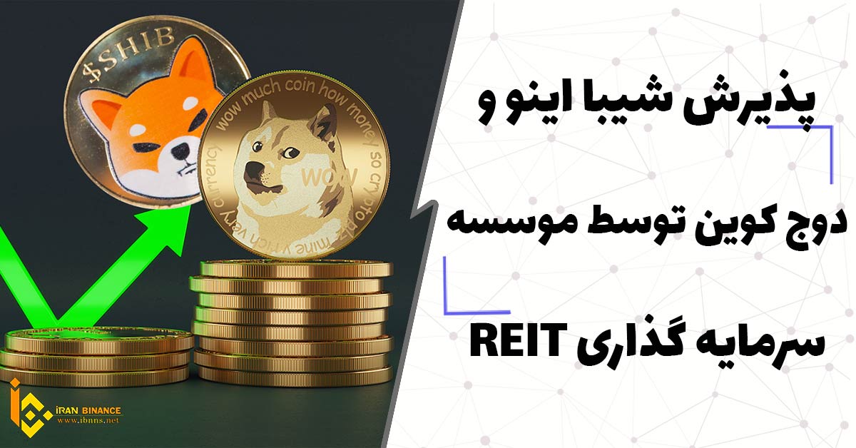  پذیرش شیبا اینو و دوج کوین توسط موسسه سرمایه گذاری REIT