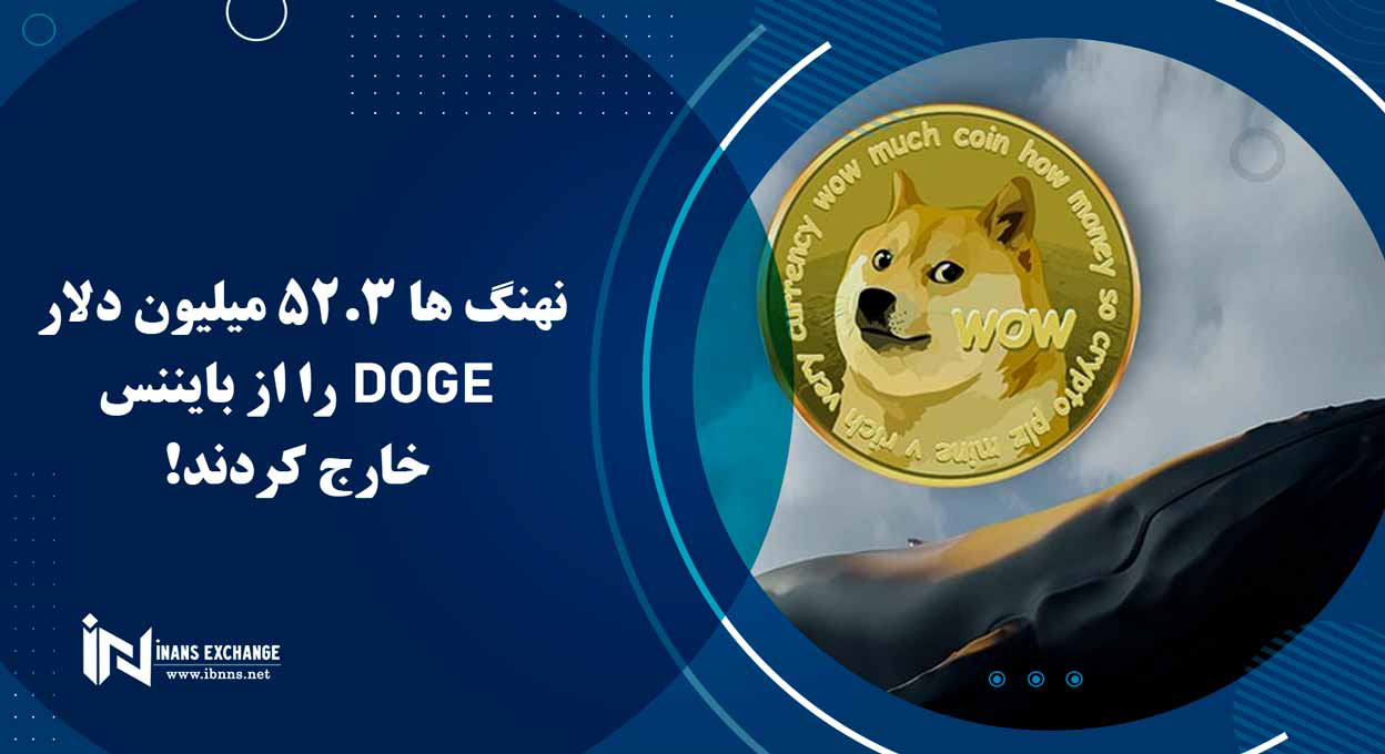 نهنگ ها 52.3 میلیون دلار DOGE را از بایننس خارج کردند