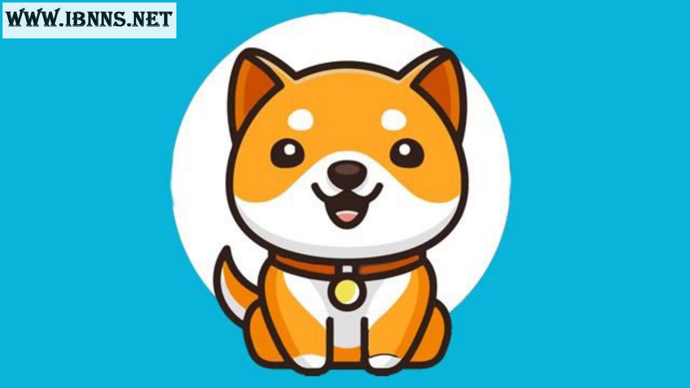 آموزش خرید بیبی دوج کوین Baby Doge Coin از صرافی ایرانی
