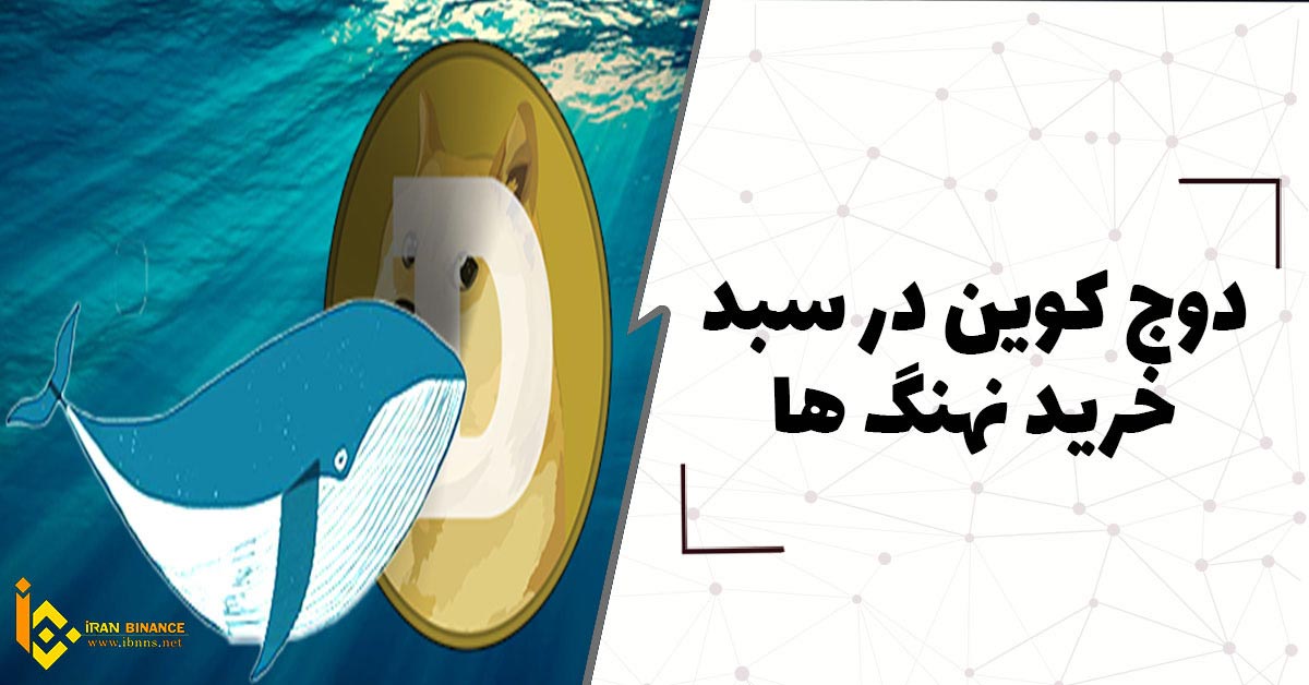 دوج کوین در سبد خرید نهنگ ها