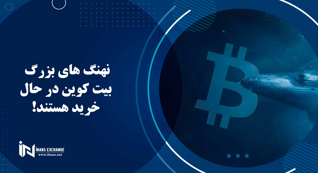 نهنگ های بزرگ بیت کوین در حال خرید هستند