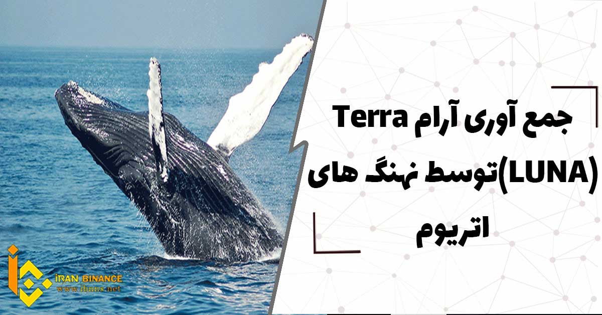جمع آوری آرام Terra (LUNA) توسط نهنگ های اتریوم