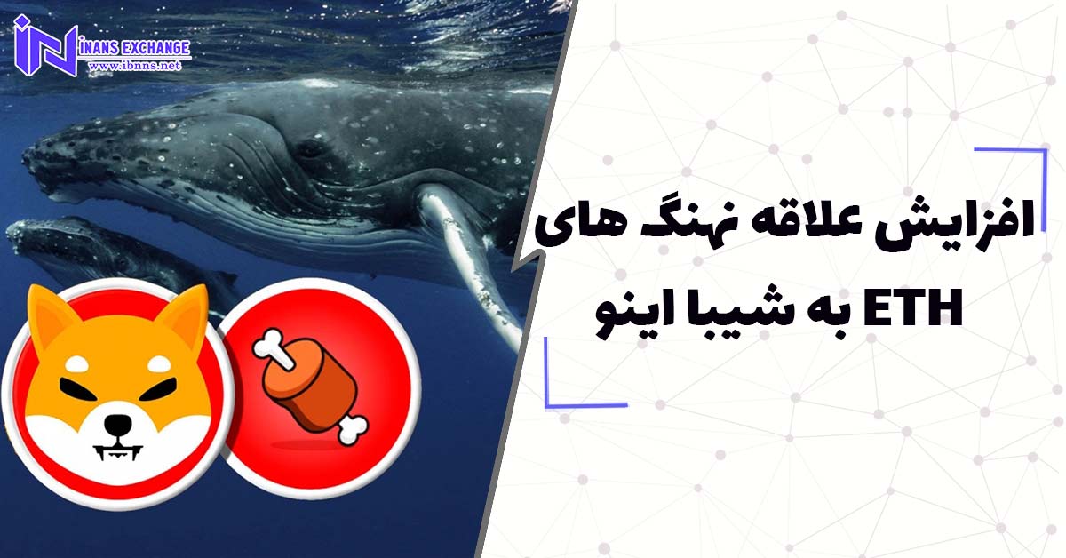  افزایش علاقه نهنگ‌ های ETH به شیبا اینو