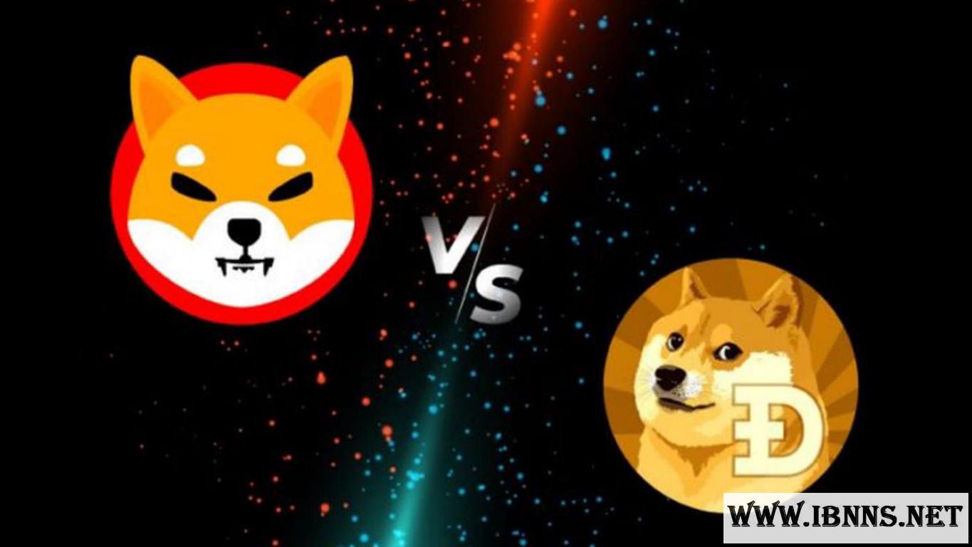 بررسی تفاوت های دوج کوین و شیبا اینو | تفاوت های دوج کوین و Shiba چیست؟ ویتالیک بوترین با Shiba Inu خود چکار کرد؟