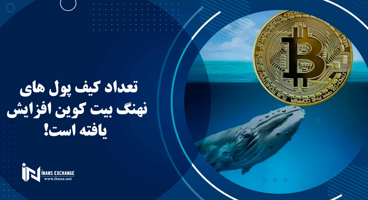  تعداد کیف پول های نهنگ بیت کوین افزایش یافته است