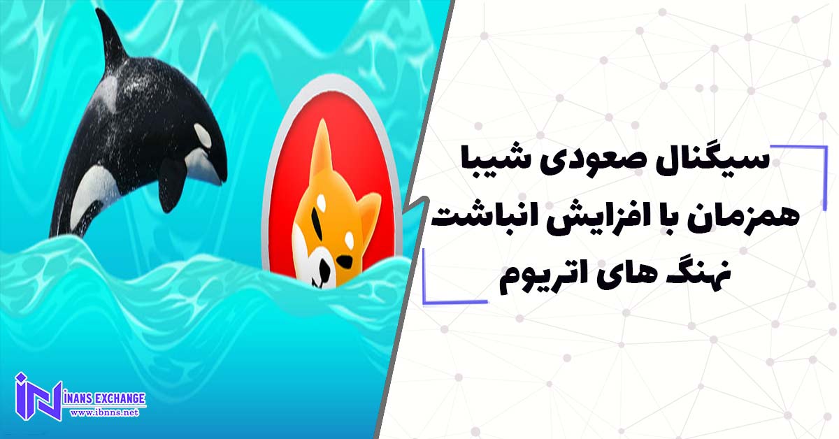  سیگنال صعودی شیبا همزمان با افزایش انباشت نهنگ های اتریوم