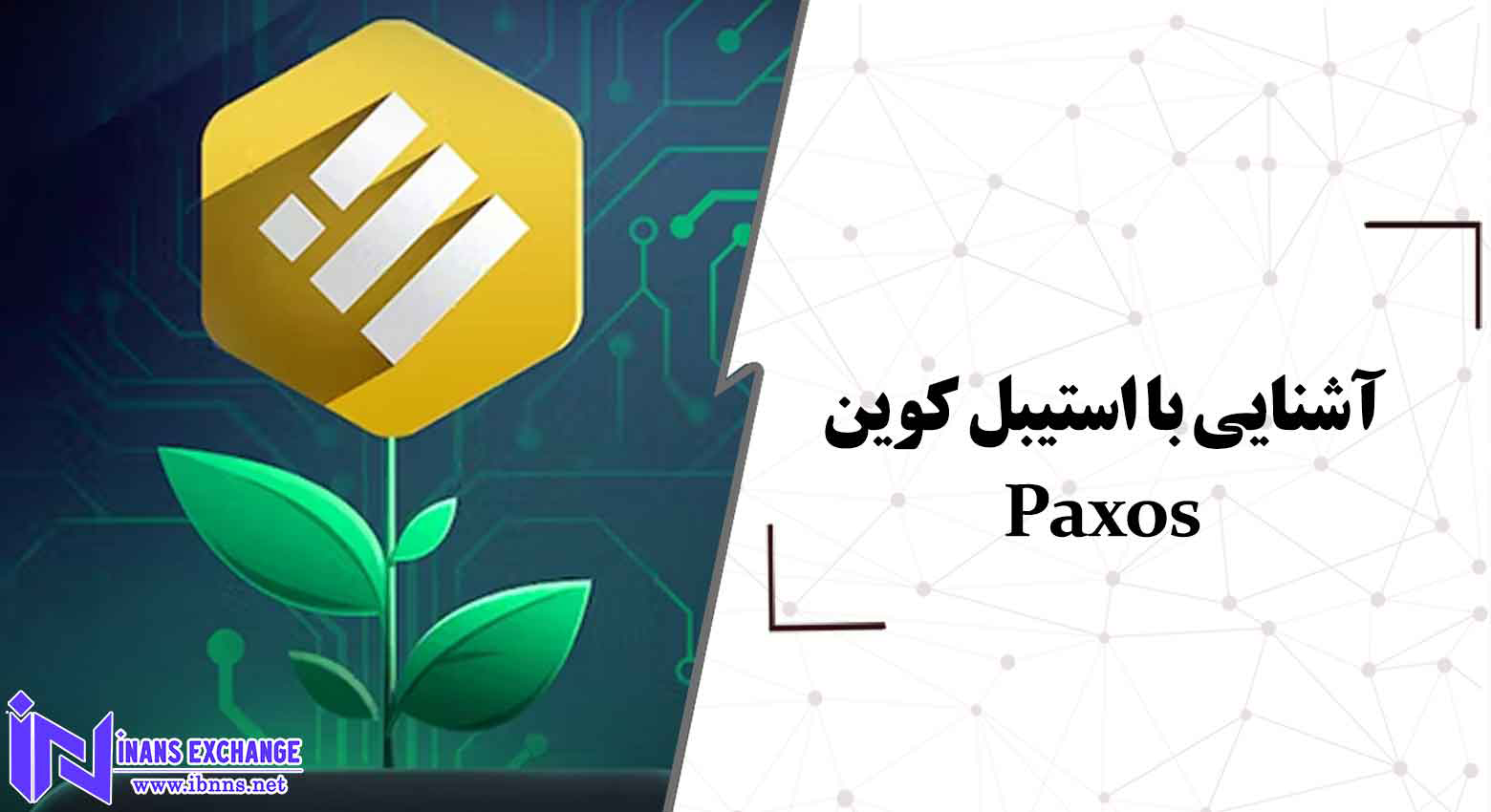  آشنایی با استیبل کوین Paxos