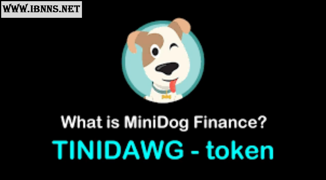 ارز دیجیتال مینی دوج (MiniDog) چیست؟ - آموزش خرید مینی دوج