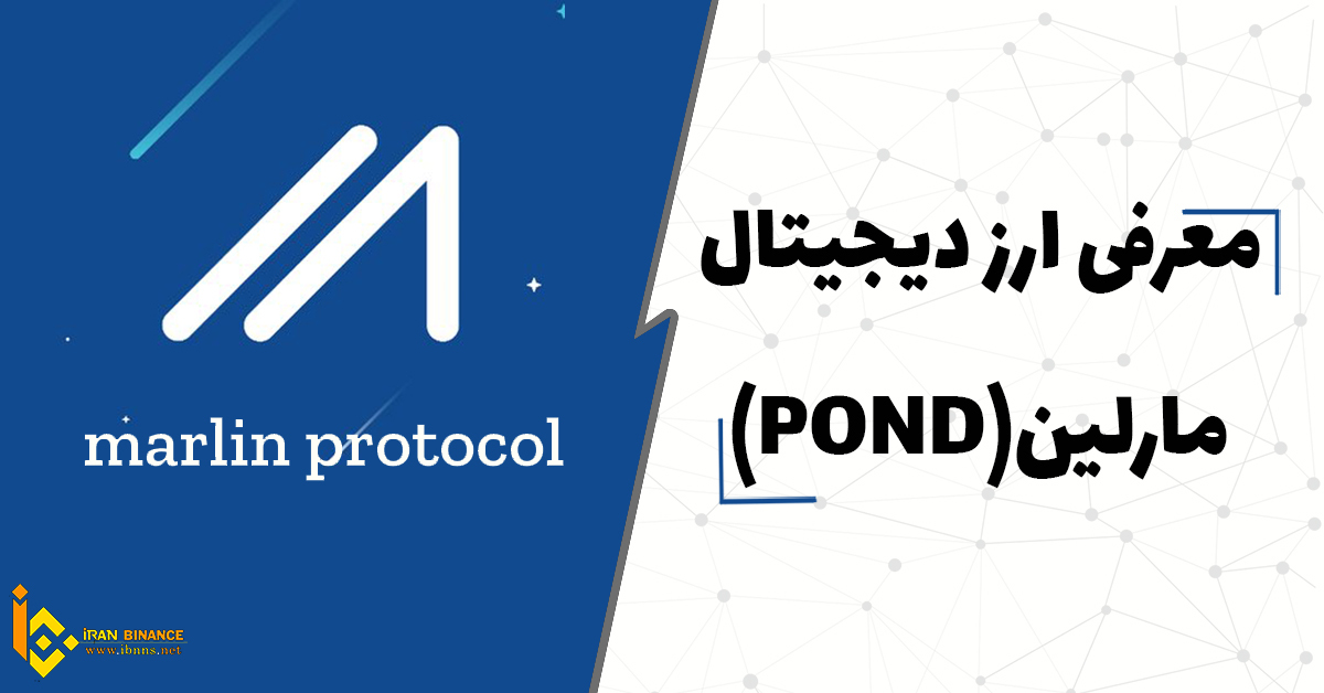 ارز دیجیتال POND چیست؟ ( بررسی کیف پول های ارز دیجیتال مارلین)