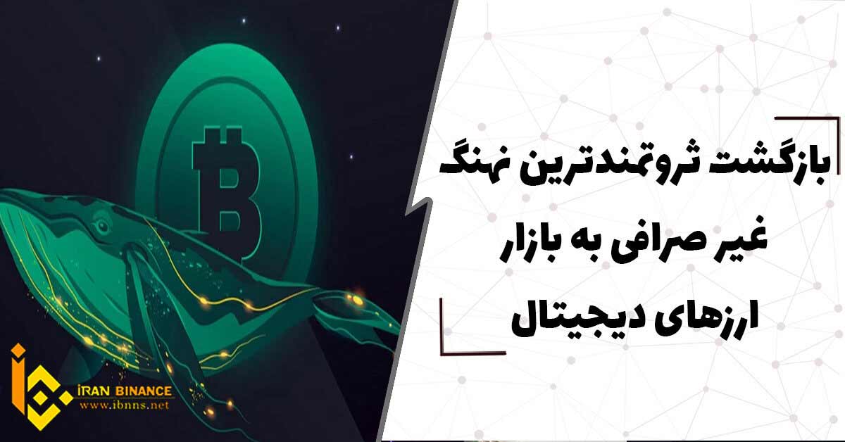  بازگشت ثروتمند ترین نهنگ غیر صرافی بیت کوین به بازار ارزهای دیجیتال